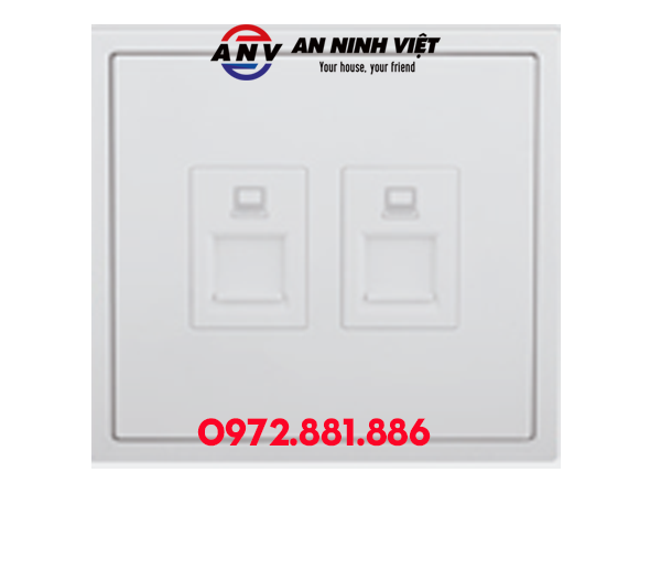 MODULE Ổ CẮM MẠNG ĐÔI (CAT6)