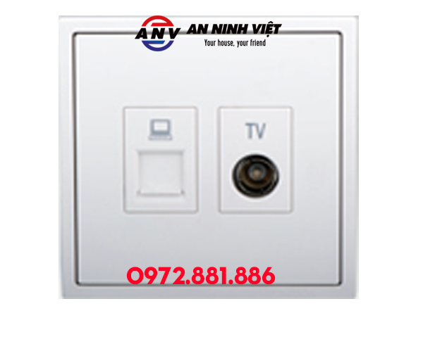 MODULE Ổ CẮM TIVI + MẠNG (CAT6)